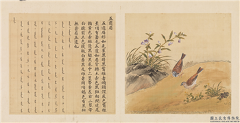 鸟谱（三）　册　五道眉,绘画,翎毛,花草,山水
