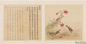 鸟谱（三）　册　白道眉,绘画,翎毛,花草