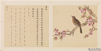 鸟谱（三）　册　画眉,绘画,翎毛,花草