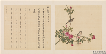 鸟谱（三）　册　石画眉,绘画,翎毛,花草