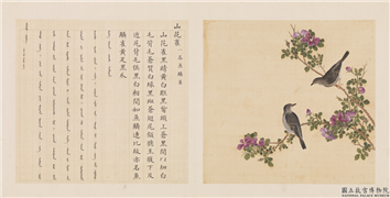 鸟谱（三）　册　山花雀,绘画,翎毛,花草