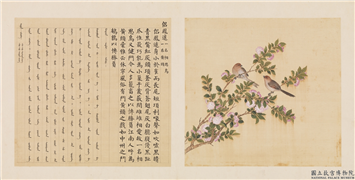 鸟谱（三）　册　侣凤逑,绘画,翎毛,花草
