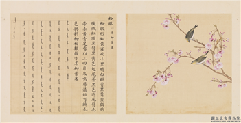 鸟谱（三）　册　粉眼,绘画,翎毛,花草
