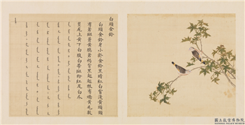 鸟谱（三）　册　白头金铃,绘画,翎毛,树木