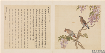 鸟谱（三）　册　太平雀,绘画,翎毛,花草