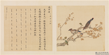 鸟谱（三）　册　太平雀,绘画,翎毛,花草