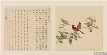 鸟谱（三）　册　花红燕,绘画,翎毛,花草