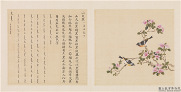 鸟谱（三）　册　山火燕,绘画,翎毛,花草