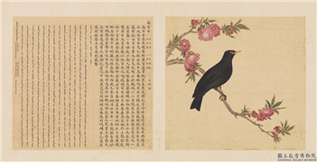 鸟谱（三）　册　南百舌,绘画,翎毛,花草