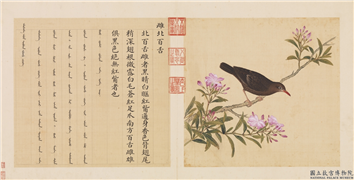 鸟谱（三）　册　雌北百舌,绘画,翎毛,花草