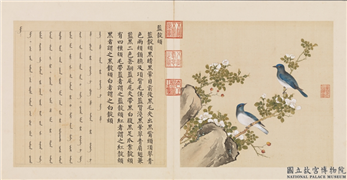 鸟谱（四）　册　蓝靛颏,绘画,翎毛,花草