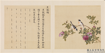 鸟谱（四）　册　黑靛颏,绘画,翎毛,花草