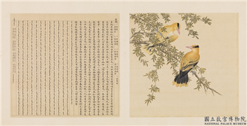 鸟谱（四）　册　黄鹂,绘画,翎毛,花草