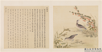 鸟谱（四）　册　蛇头鸟,绘画,翎毛,花草,草虫