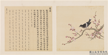 鸟谱（四）　册　双喜,绘画,翎毛,花草