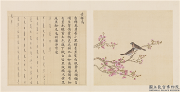 鸟谱（四）　册　吉祥鸟,绘画,翎毛,花草