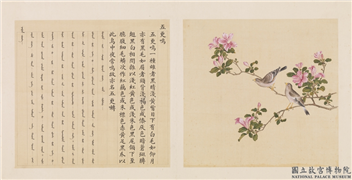 鸟谱（四）　册　五更鸣,绘画,翎毛,花草