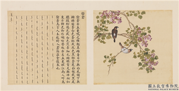 鸟谱（四）　册　偷仓,绘画,翎毛,花草