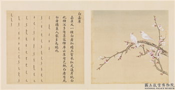 鸟谱（四）　册　白嘉雀,绘画,翎毛,花草
