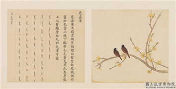 鸟谱（四）　册　花嘉雀,绘画,翎毛,花草