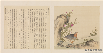 鸟谱（四）　册　南牛鹌,绘画,翎毛,花草,山水