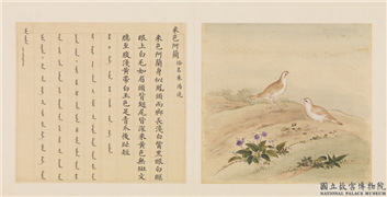 鸟谱（四）　册　米色阿兰,绘画,翎毛,花草