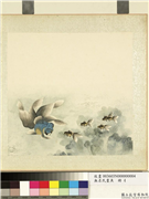 无名氏画鱼　册　金鱼四,绘画,水中动植物