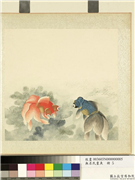 无名氏画鱼　册　金鱼五,绘画,水中动植物
