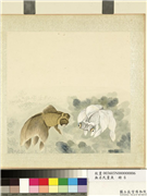 无名氏画鱼　册　金鱼六,绘画,水中动植物