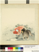 无名氏画鱼　册　金鱼七,绘画,水中动植物,山水