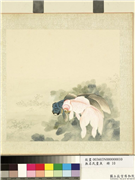 无名氏画鱼　册　金鱼十,绘画,水中动植物