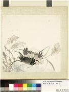 无名氏画花鸟　册　芦苇,绘画,水中动植物,花草