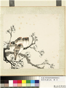 无名氏画花鸟　册　白梅,绘画,翎毛,花草