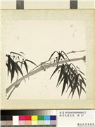 无名氏画花鸟　册　竹子,绘画,树木