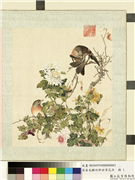 清屈兆麟仿郎世宁花卉　册　菊花,绘画,花草,翎毛