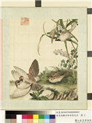 清屈兆麟仿郎世宁花卉　册　麻雀稷穗,绘画,翎毛,山水,花草,五谷