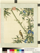 清屈兆麟仿郎世宁花卉　册　翎毛花竹,绘画,翎毛,树木,花草