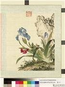 清屈兆麟仿郎世宁花卉　册　鸢尾虞美人,绘画,花草