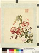 清屈兆麟仿郎世宁花卉　册　姬百合缠枝牡丹,绘画,花草