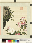 清屈兆麟仿郎世宁花卉　册　芍药,绘画,花草,山水
