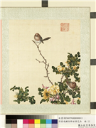 清屈兆麟仿郎世宁花卉　册　粉红鹦嘴月季花,绘画,花草,翎毛
