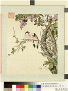 清屈兆麟仿郎世宁花卉　册　丁香爪哇雀,绘画,翎毛,花草