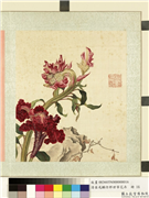 清屈兆麟仿郎世宁花卉　册　鸡冠花,绘画,花草,树木,山水