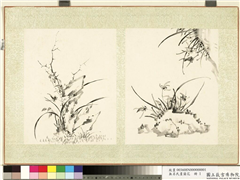 无名氏画兰花　册　兰花（一）,绘画,花草