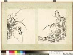 无名氏画兰花　册　兰花（七）,绘画,花草,山水