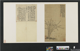 宋元集绘　册　元赵孟頫双钩水仙,绘画,花草