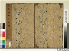 明祝允明临黄庭经　册,书法,