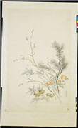 清沈庆兰松兰竹梅　轴,绘画,树木,花草