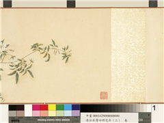 清汪承霈四时花卉（三）五云浓馥　卷,绘画,花草