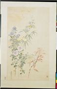 清钱维城菊花雁来红　轴,绘画,花草